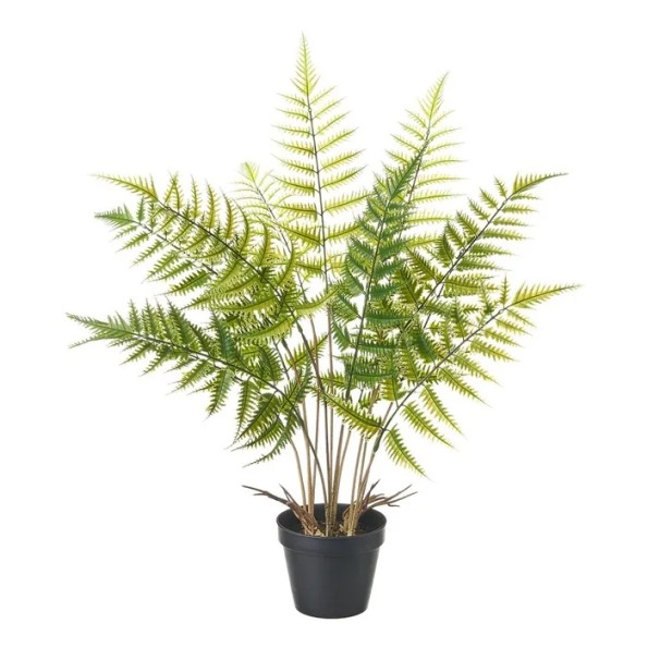 PLANTA HELECHO PLÁSTICO 23 X 23 X 63 CM (3665)