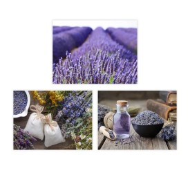 CUADRO FOTOIMPRESIÓN 3/M LIENZO 30 X 1,50 X 40 CM