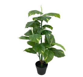 PL.POTO X3 TAC.NAT.145cm C/Mac (B317-2M)