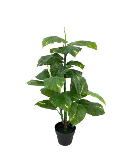 PL.POTO X3 TAC.NAT.145cm C/Mac (B317-2M)