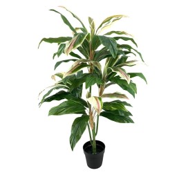 P.CORDELINE T.NAT.VERDE 140cm (B326-1M)