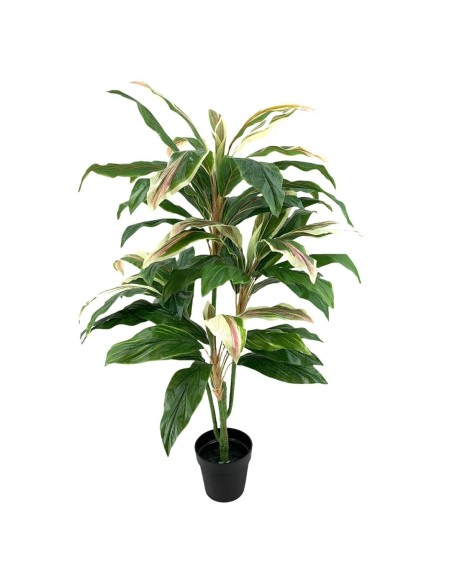 P.CORDELINE T.NAT.VERDE 140cm (B326-1M)