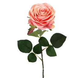 ROSA X1 CEREZA 65cm(8cm) (G643-9)