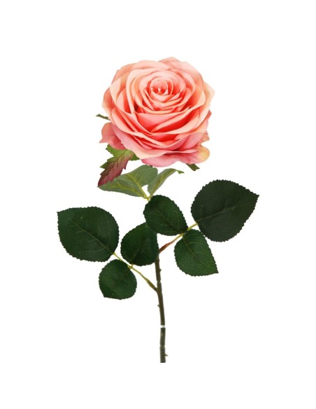 ROSA X1 CEREZA 65cm(8cm) (G643-9)