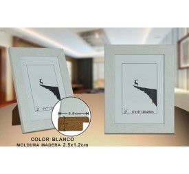 PORTAFOTO BLANCO DM-898 20X25CM (12/24)