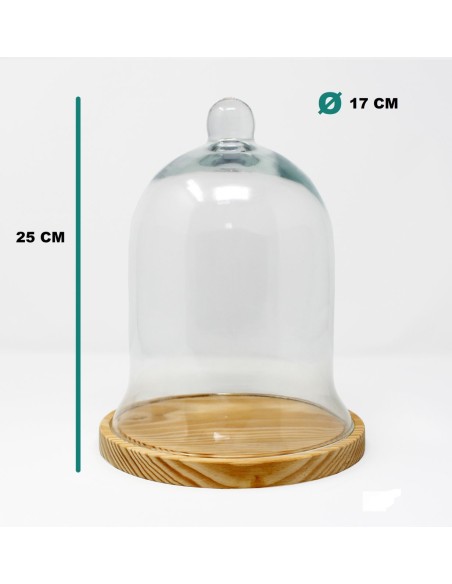 CUPULA CON POMO H25CM