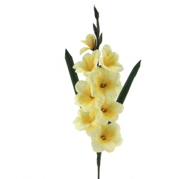 GLADIOLO AMARILLO CLARO (230