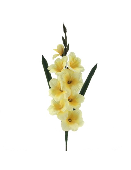 GLADIOLO AMARILLO CLARO (230