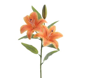 LILIUM X 2 (T.N.) (3073-15)