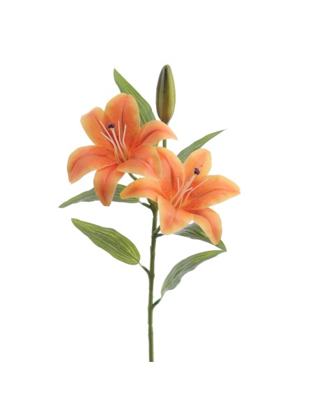 LILIUM X 2 (T.N.) (3073-15)