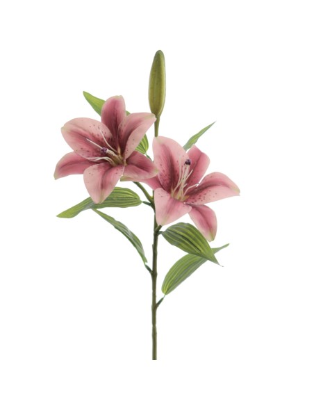 LILIUM X 2 (T.N.) (3073-17)