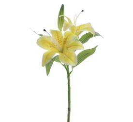 LILIUM PICK (3074-02)