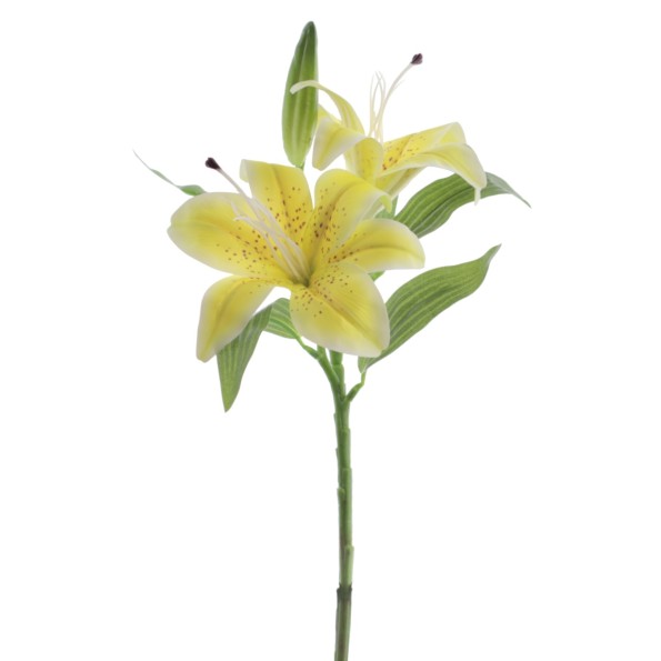 LILIUM PICK (3074-02)