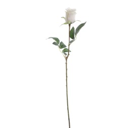 CAPULLO 64 CMS (5160-01)