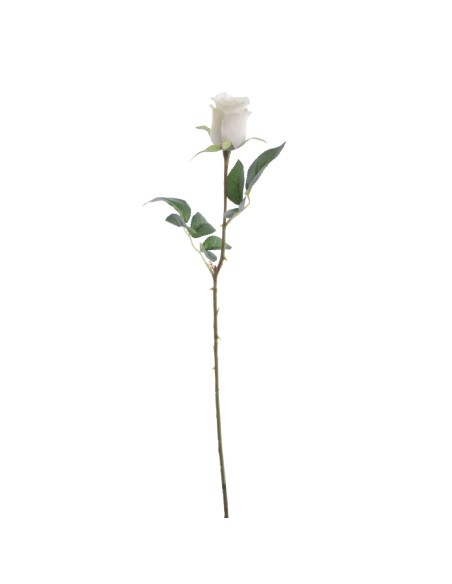 CAPULLO 64 CMS (5160-01)