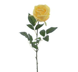 CAPULLO IMPERIAL (5161-02)