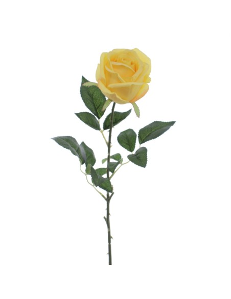 CAPULLO IMPERIAL (5161-02)