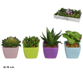 MACETA PLAST SUCULENTAS COLOR 6 a 9 CM (S)