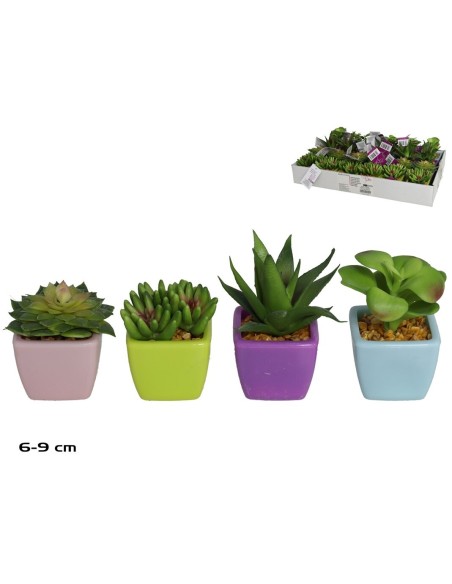 MACETA PLAST SUCULENTAS COLOR 6 a 9 CM (S)
