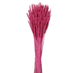 TRIGO FLO 80 cms. ROSA (45)