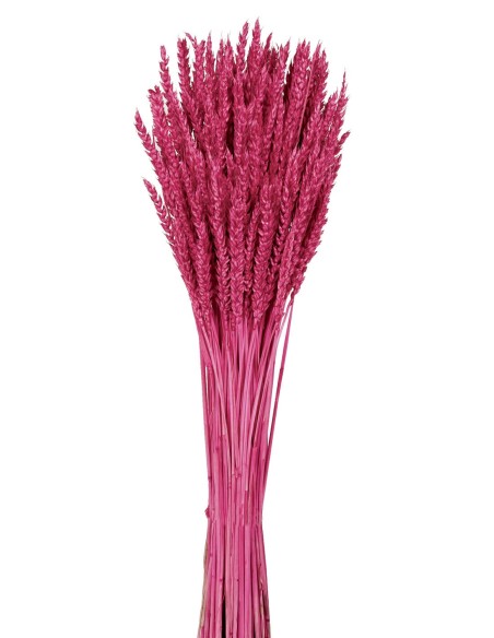 TRIGO FLO 80 cms. ROSA (45)