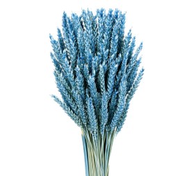 TRIGO FLO 80 cms. AZUL (71)