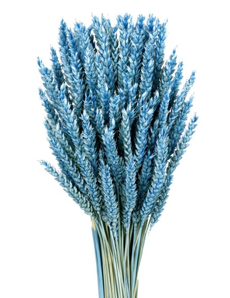 TRIGO FLO 80 cms. AZUL (71)