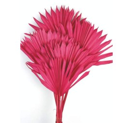 PALM SUN 60 cms. x 15/25 cms. ROSA (45)