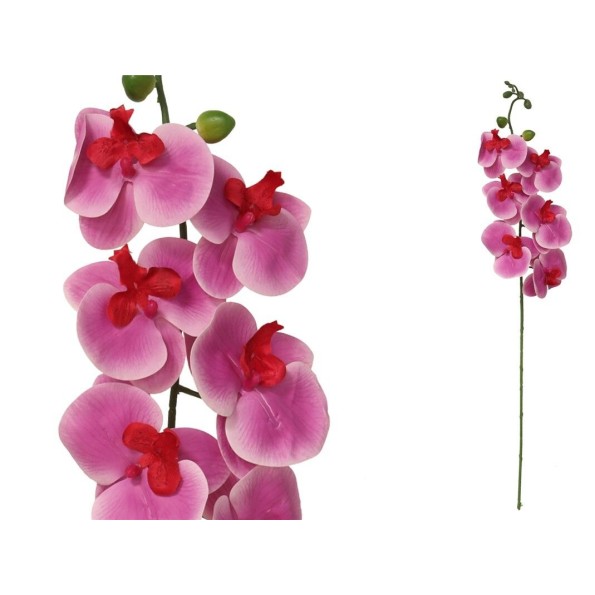 VARA ORQUIDEA X 6 R/TOUCH-76 CM (VIOLET)