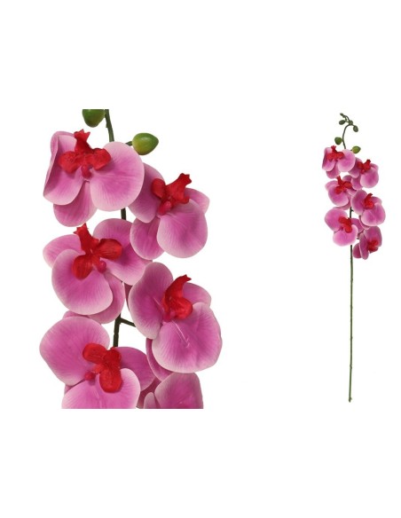 VARA ORQUIDEA X 6 R/TOUCH-76 CM (VIOLET)