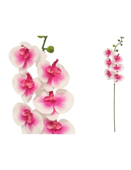 VARA ORQUIDEA X 6 R/TOUCH-76 CM (MALVA)