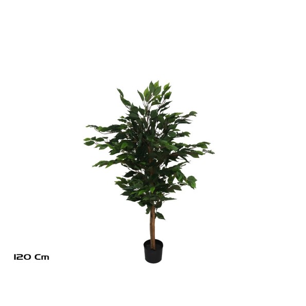 ARBOL FICUS T/NATURAL -120 CM