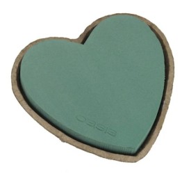OASIS BIOLIT CORAZON 33X34X5,5 CM