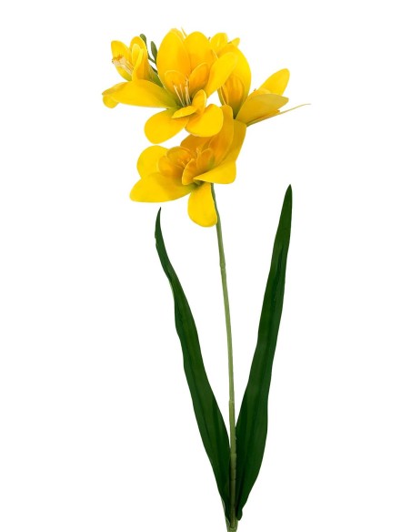 R.FRESHIA T.NAT AMARI.64cm(14) (