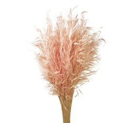 AVENA SALVAJE 80 cms. ROSA (40)