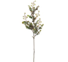 EUCALYPTUS SILVESTRE MIX (9578-01)