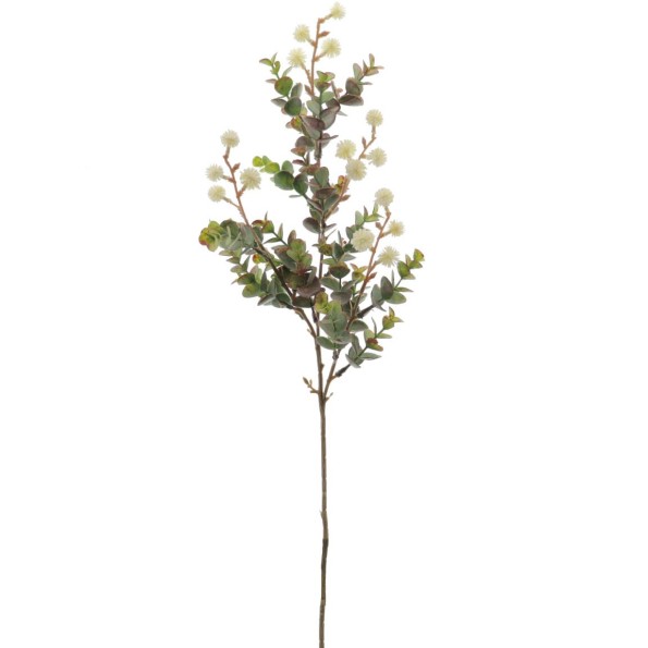 EUCALYPTUS SILVESTRE MIX (9578-01)