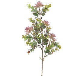 EUCALYPTUS SILVESTRE MIX ALOE (9574-17)