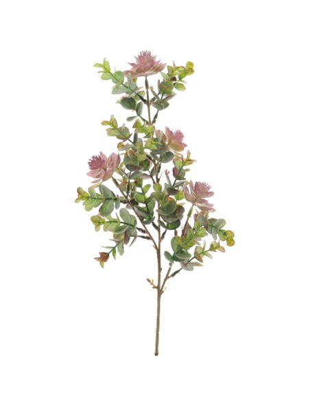 EUCALYPTUS SILVESTRE MIX ALOE (9574-17)