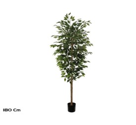 ARBOL FICUS T/NATURAL -180 CM