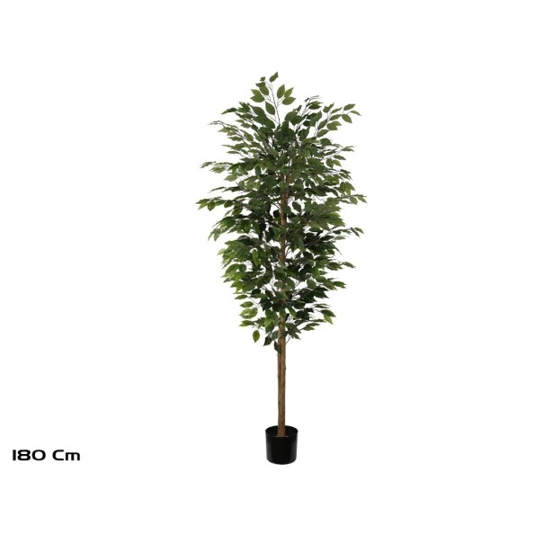 ARBOL FICUS T/NATURAL -180 CM