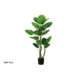 PLANTA POTUS EXOTIC X 17 130 CM