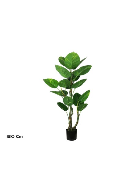 PLANTA POTUS EXOTIC X 17 130 CM