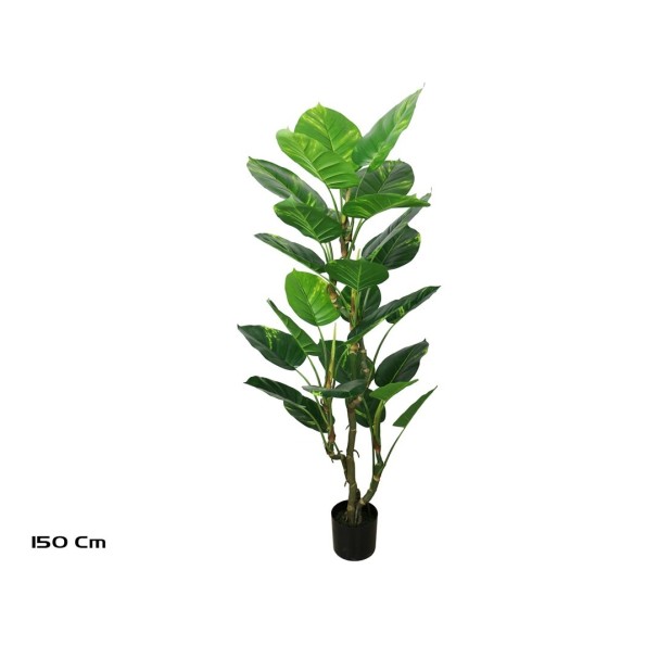 PLANTA POTUS EXOTIC X 26 150 CM