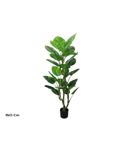 PLANTA POTUS EXOTIC X 26 150 CM