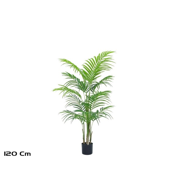 PLANTA PALMERA ARECA -120 CM