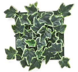 JARDIN VERTICAL HIEDRA MATIZADA 25x25