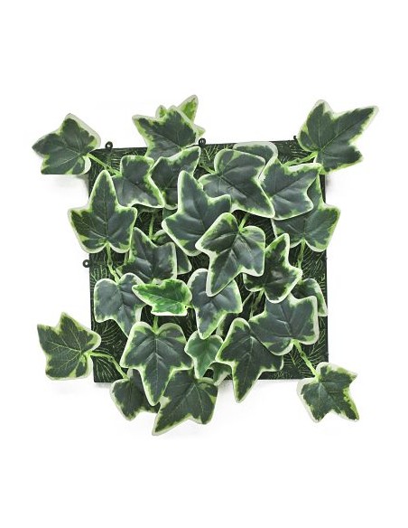 JARDIN VERTICAL HIEDRA MATIZADA 25x25