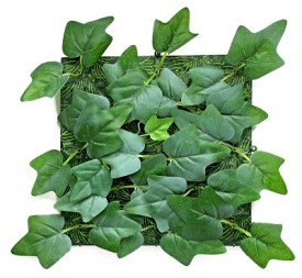 JARDIN VERTICAL HIEDRA 25x25