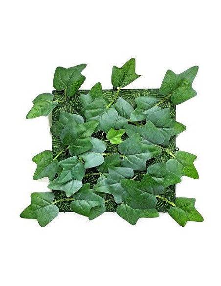 JARDIN VERTICAL HIEDRA 25x25